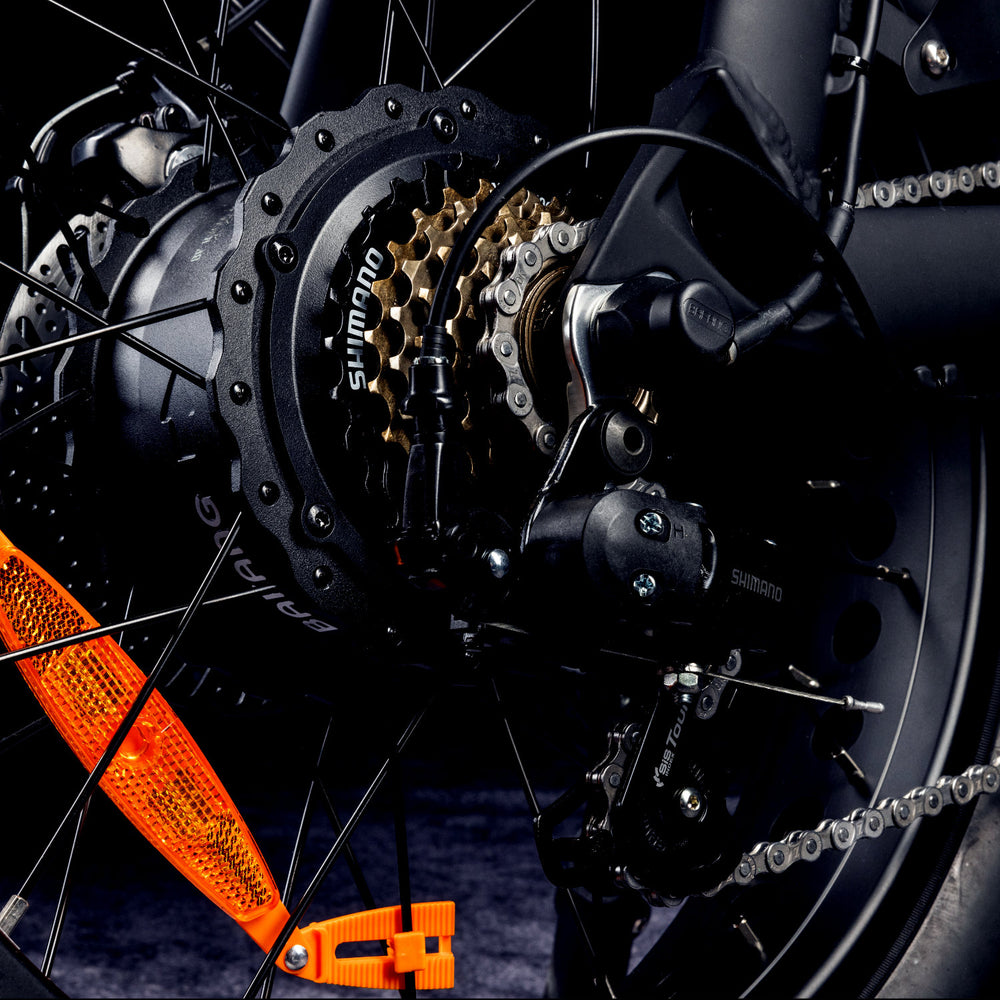 Pedibal ECruiza® Fat Tyre Electric Bike 80Nm